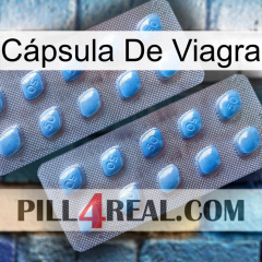 Cápsula De Viagra viagra4